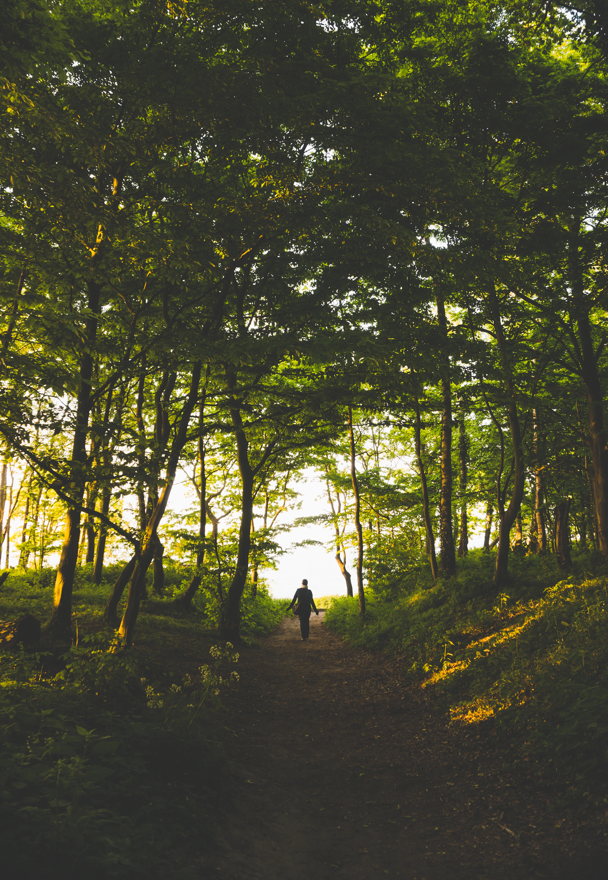 Philipp Deus_1792778722933_unsplash_id_WF7-W7pn70Q.webp